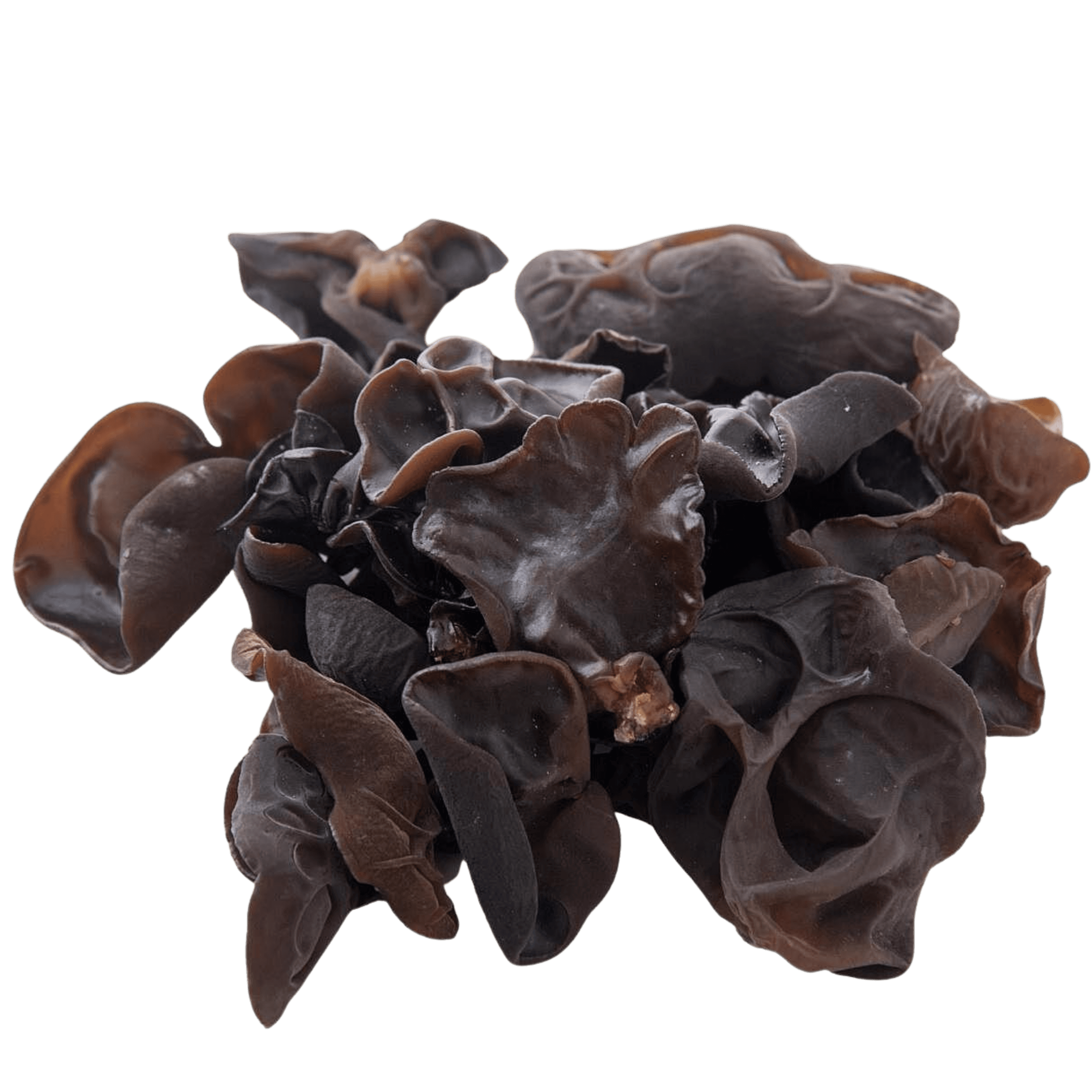 Black Fungus