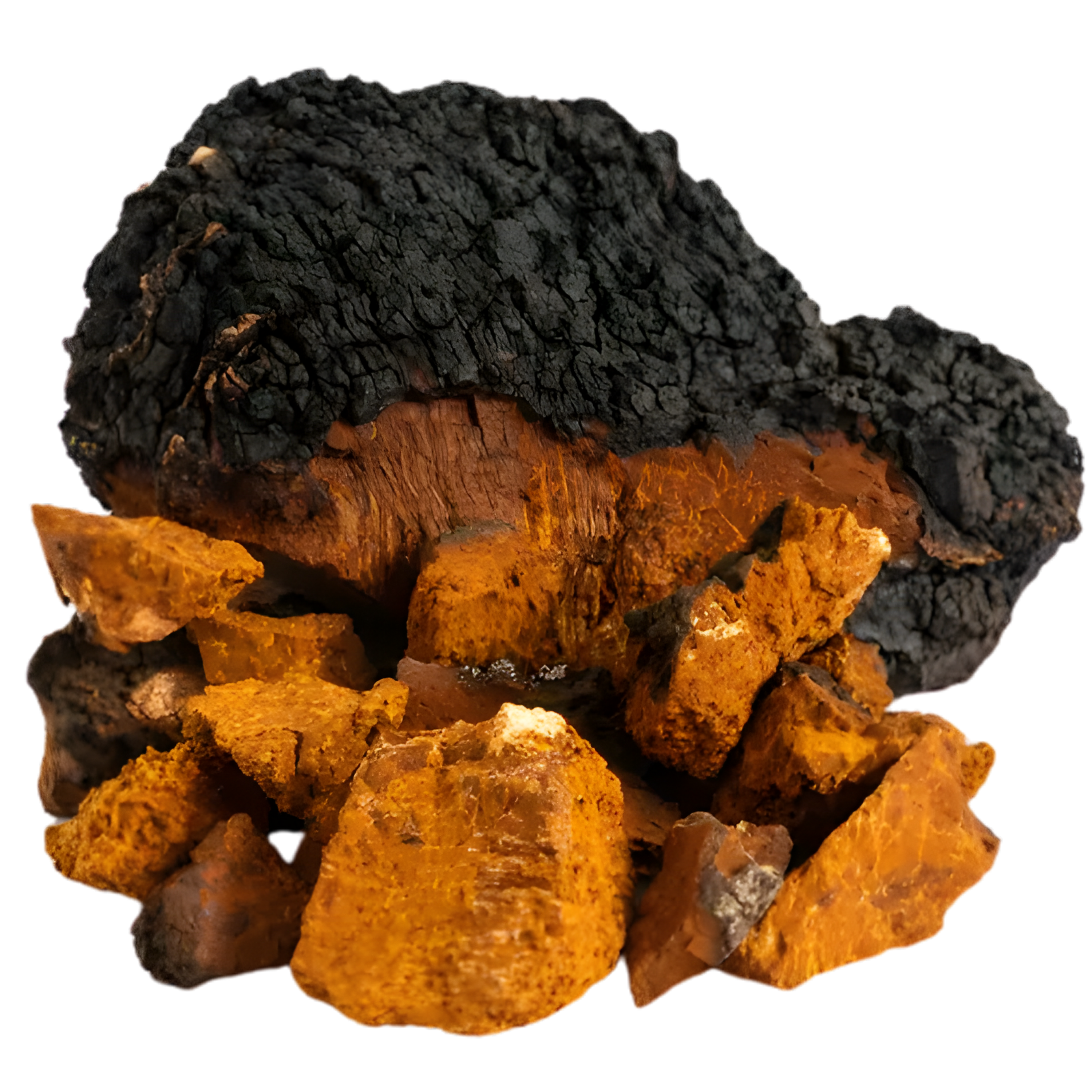 Chaga